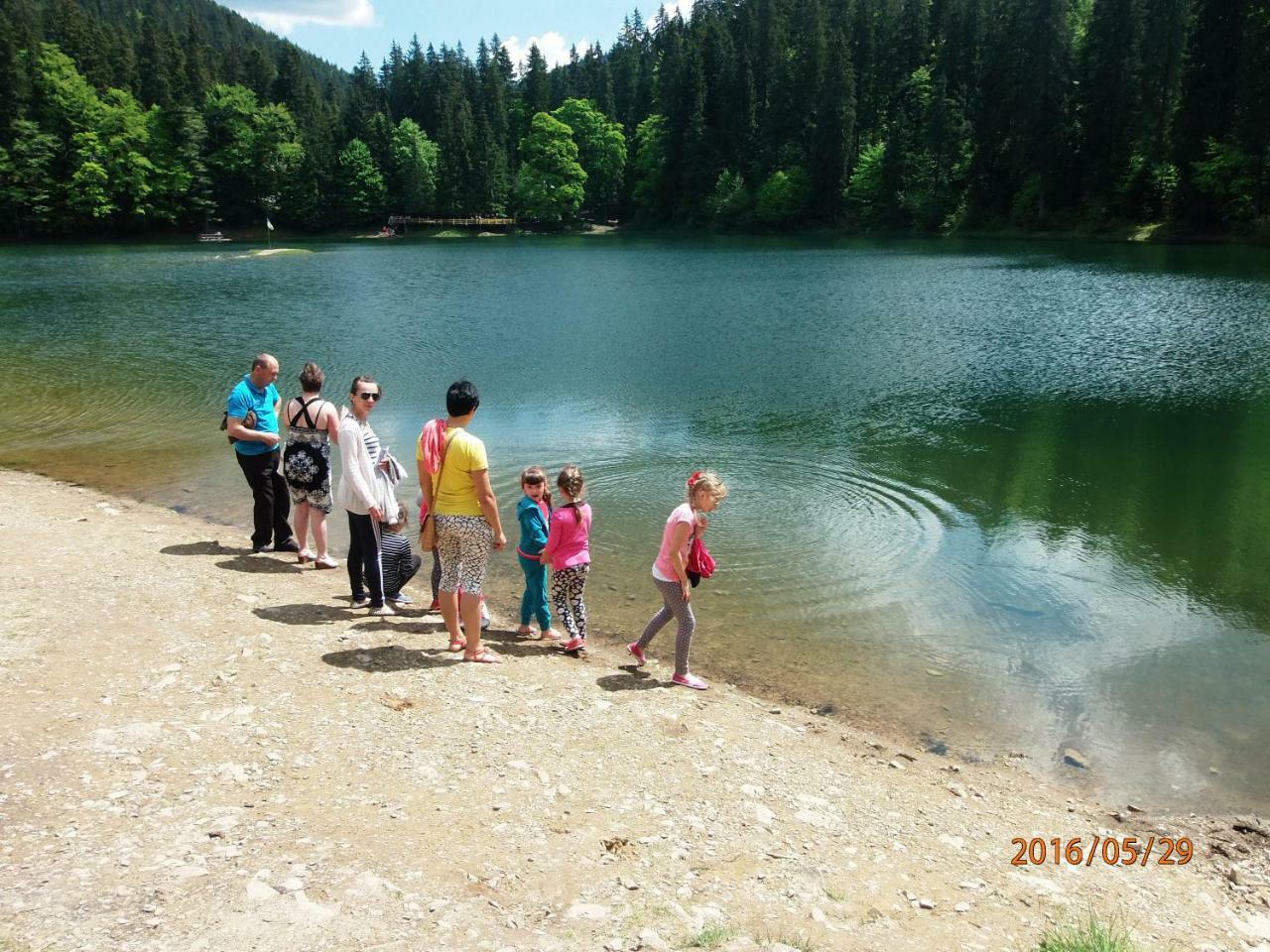 Family Green Sasovka  Dış mekan fotoğraf